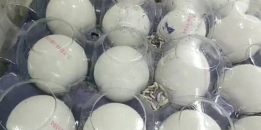 A101 marketinde skandal görüntü Mide bulandırdı