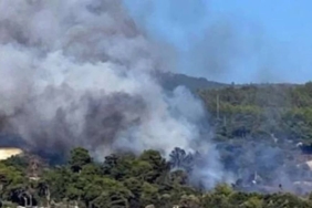 Antalya Kumluca'da orman yangını