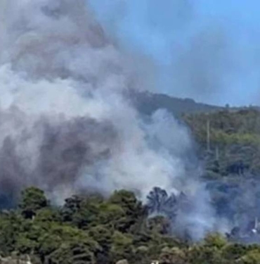 Antalya Kumluca'da orman yangını