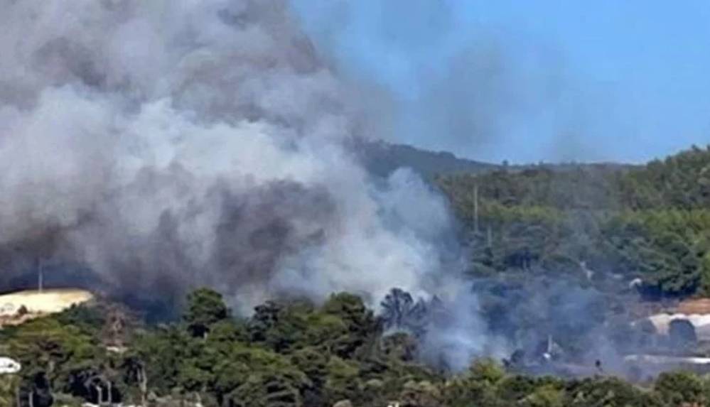 Antalya Kumluca'da orman yangını