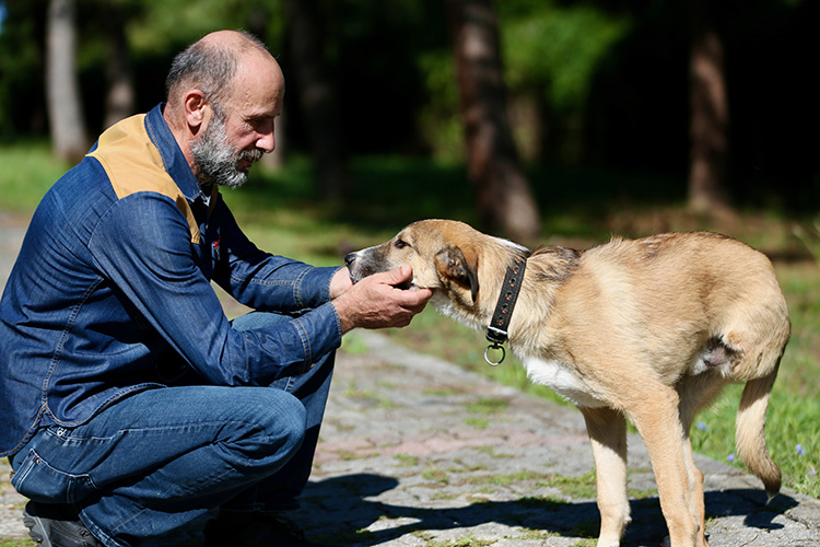 Düzceli hayvansever bir bacağını kaybeden köpeğe çocuğu gibi bakıyor