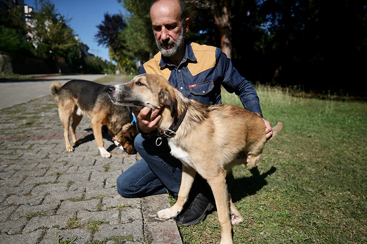 Düzceli hayvansever bir bacağını kaybeden köpeğe çocuğu gibi bakıyor