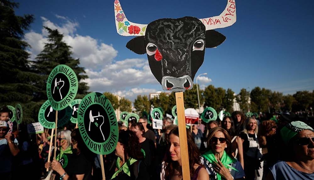 İspanya'da boğa güreşlerinin yasaklanması için gösteri düzenlendi