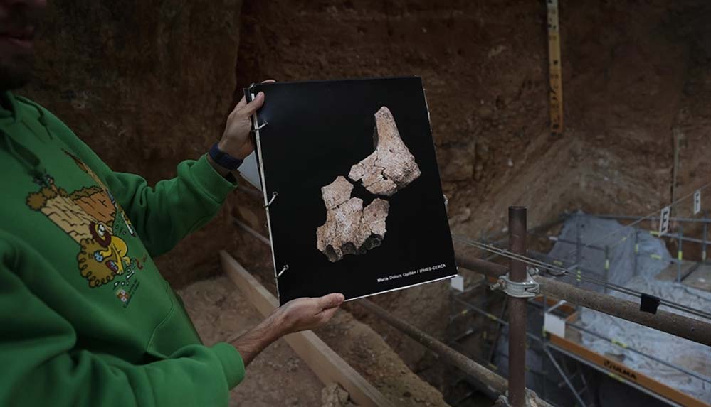 İspanya'da bulunan 1,4 milyon yıllık fosil bilim insanlarını şaşırttı