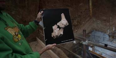 İspanya'da-bulunan-1,4-milyon-yıllık-fosil-bilim-insanlarını-şaşırttı