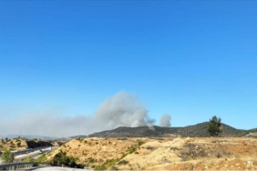 Mersin'de çıkan orman yangınına ekiplerce müdahale ediliyor