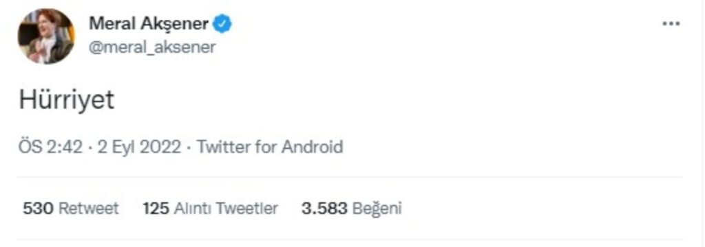Sosyal medyadaki 'tek kelimelik' akıma siyasiler de katıldı: 'One Word Tweet'