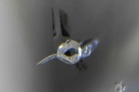 Su sorununa çözüm olabilecek bir mineral keşfedildi