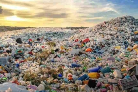 Türkiye, Avrupa Birliği’nde en çok plastik çöp ithal eden ülke