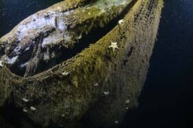 Denizlere-bir-yılda-düşürülen-balık-ağları-dünyanın-etrafını-18-kez-sarabilir