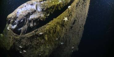 Denizlere-bir-yılda-düşürülen-balık-ağları-dünyanın-etrafını-18-kez-sarabilir