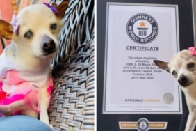 Dünyanın en yaşlı köpeği hayatını kaybetti