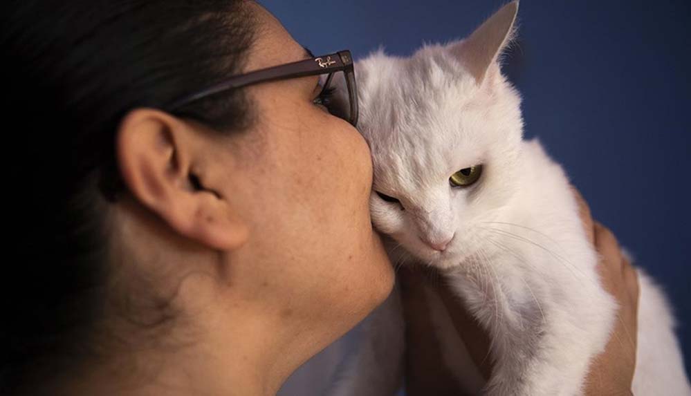 Filistinli hayvansever Erbil'deki evcil hayvan otelinde kedi ve köpekleri ağırlıyor 5 Filistinli-hayvansever-Erbil'deki-evcil-hayvan-otelinde-kedi-ve-köpekleri-ağırlıyor