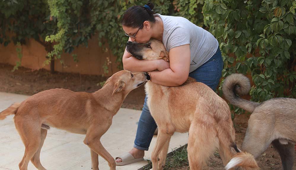 Filistinli hayvansever Erbil'deki evcil hayvan otelinde kedi ve köpekleri ağırlıyor
