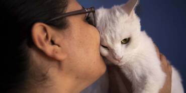 Filistinli-hayvansever-Erbil'deki-evcil-hayvan-otelinde-kedi-ve-köpekleri-ağırlıyor