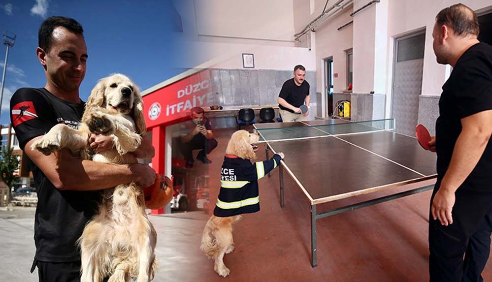 İtfaiyecilerin-sahiplendiği-köpek-'Ateş'-personelin-yanından-ayrılmıyor