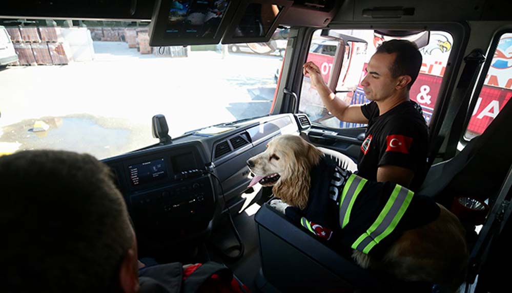 İtfaiyecilerin sahiplendiği köpek 'Ateş' personelin yanından ayrılmıyor