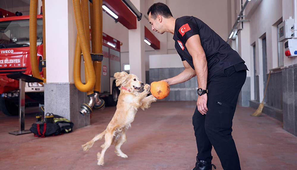 İtfaiyecilerin sahiplendiği köpek 'Ateş' personelin yanından ayrılmıyor