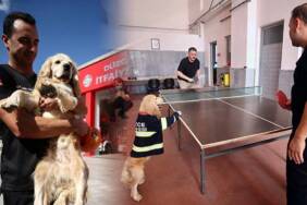 İtfaiyecilerin-sahiplendiği-köpek-'Ateş'-personelin-yanından-ayrılmıyor
