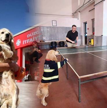İtfaiyecilerin-sahiplendiği-köpek-'Ateş'-personelin-yanından-ayrılmıyor