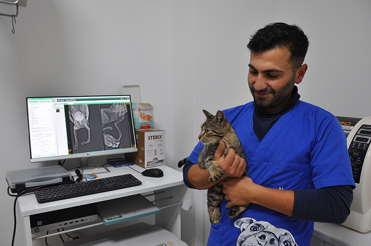 Hayvansever jandarma topladığı paralarla Gümüş'ün ameliyatını yaptırdı