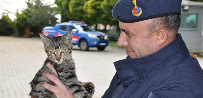 Hayvansever jandarma topladığı paralarla Gümüş’ün ameliyatını yaptırdı