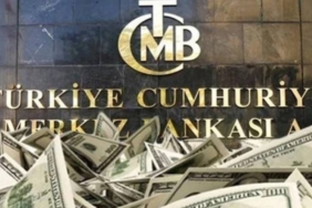 Merkez Bankası anket sonucunu açıkladı Dolar ve enflasyon beklentisinde artış!
