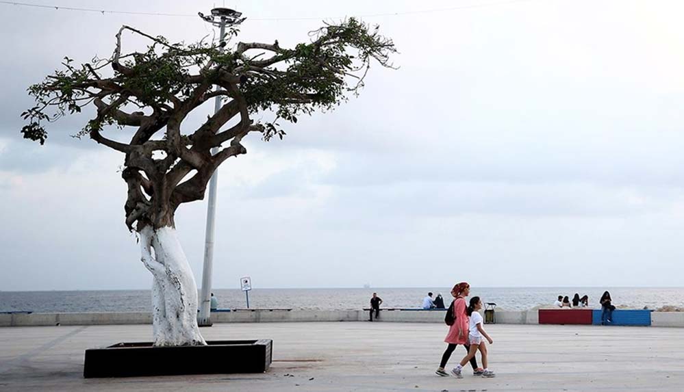 Mersin'in-'simge-ağacı'na-zarar-verilmesine-ilişkin-3-sanığa-dava-açıldı