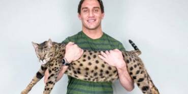 Yaşayan-en-uzun-boylu-evcil-kedi-unvanı-el-değiştirdi