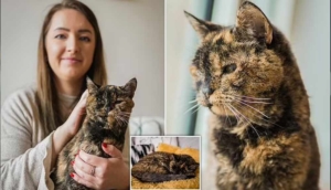 26 yaşındaki Flossie, dünyanın en yaşlı kedisi olarak kayıtlara geçti