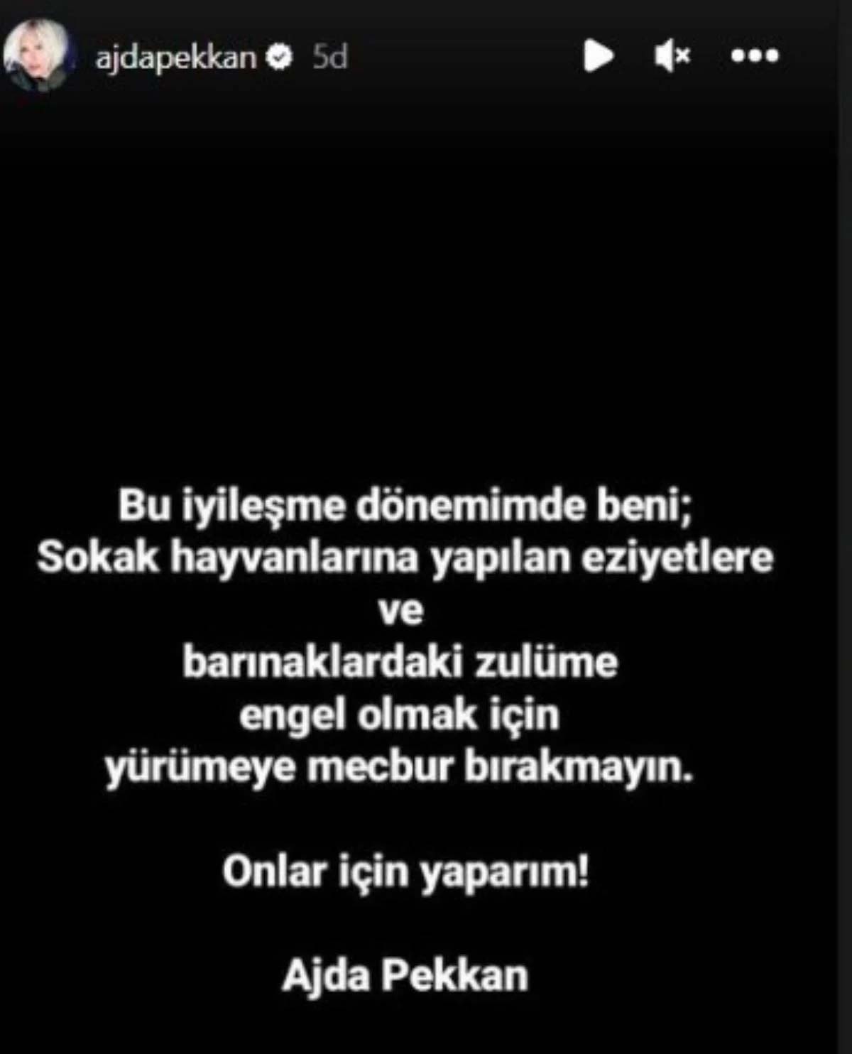 Ajda Pekkan'dan çok sert tepki: "Yürümeye mecbur bırakmayın. Onlar için yaparım"