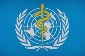 DSÖ, maymun çiçeği virüsünün adını değiştiriyor 10 DSÖ,-maymun-çiçeği-virüsünün-adını-değiştiriyor