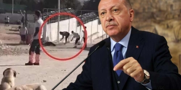 Erdoğan'dan-Konya'daki-köpek-katliamına-tepki