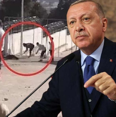 Erdoğan'dan Konya'daki köpek katliamına tepki 4 Erdoğan'dan-Konya'daki-köpek-katliamına-tepki