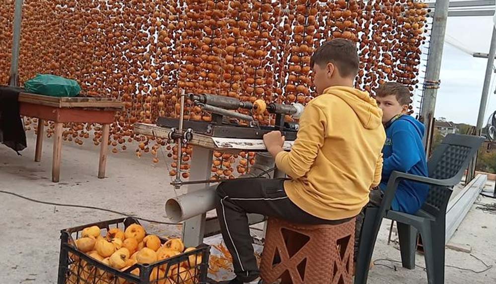 İki kardeş, ailesinin işini kolaylaştırmak için hurma soyma makinesi yaptı