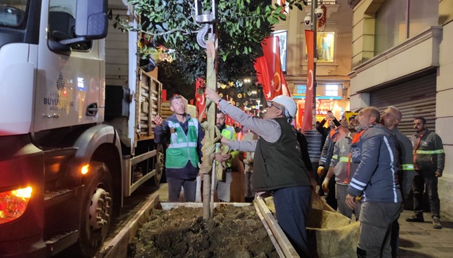 İstiklal Caddesi'ndeki ağaçlar kaldırılıyor