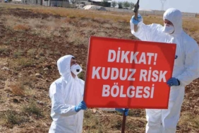 Kars'ta-bir-köy-kuduz-nedeniyle-karantinaya-alındı
