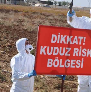 Kars'ta bir köy kuduz nedeniyle karantinaya alındı 9 Kars'ta-bir-köy-kuduz-nedeniyle-karantinaya-alındı