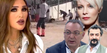 Konya’daki-vahşete-ünlü-isimlerden-sert-tepki!-Seren-Serengil-Erdoğan’dan-yardım-istedi