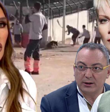 Konya’daki vahşete ünlü isimlerden sert tepki! Seren Serengil Erdoğan’dan yardım istedi 2 Konya’daki-vahşete-ünlü-isimlerden-sert-tepki!-Seren-Serengil-Erdoğan’dan-yardım-istedi