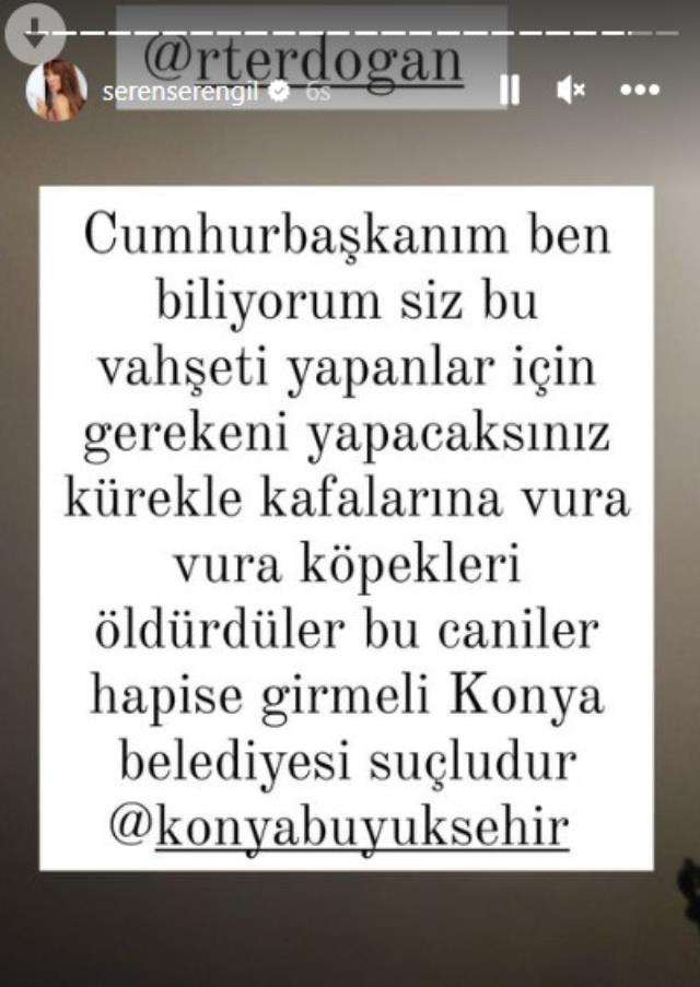 Konya’daki vahşete ünlü isimlerden sert tepki! Seren Serengil Erdoğan’dan yardım istedi