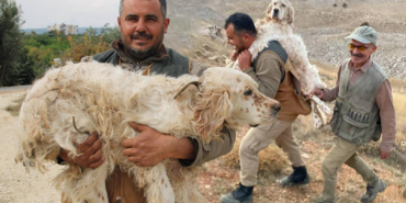 Mersin’de avcı, yorulan köpeği sırtında taşıdı