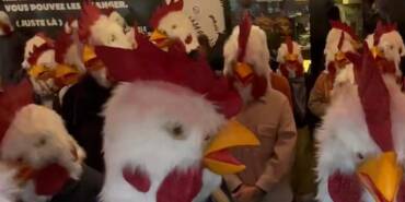 Paris'te-aktivistler-tavuk-maskeleriyle-fast-food-restoranını-bastı