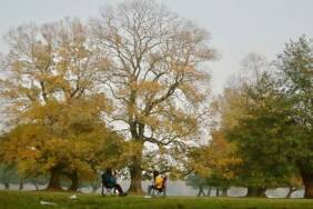 Son-8-yılın-dünyadaki-en-sıcak-yıllar-olabileceği-hesaplanıyor