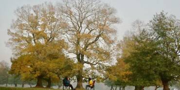 Son-8-yılın-dünyadaki-en-sıcak-yıllar-olabileceği-hesaplanıyor