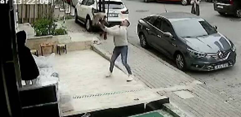 Üçüncü kattan düşen kediyi havada yakaladı