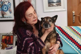 23-yaşındaki-Alman-kurdu-kırması-Zeynep-'hayattaki-en-yaşlı-köpek'-unvanına-aday