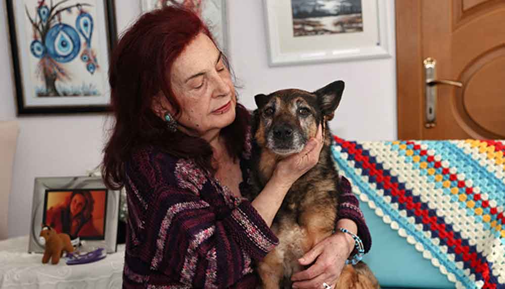 23 yaşındaki Alman kurdu kırması Zeynep "hayattaki en yaşlı köpek" unvanına aday