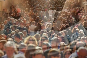 Anket--Asgari-ücret-zammından-en-çok-AKP-ve-MHP'liler-memnun