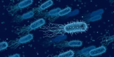 DSÖ--İnsan-vücudunda-antibiyotiklere-karşı-artan-bakteri-direnci,-ölüm-riskini-artırıyor